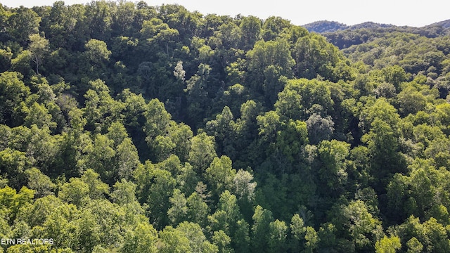 168 County Rd 484, Englewood, TN 37329
