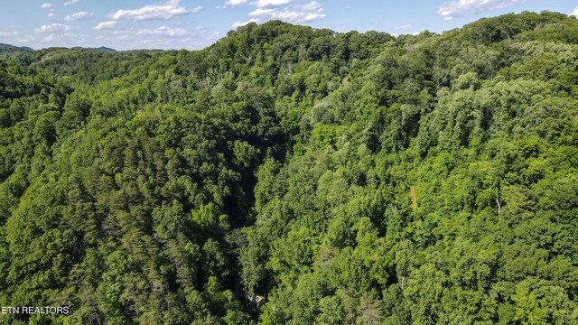 168 County Rd 484, Englewood, TN 37329