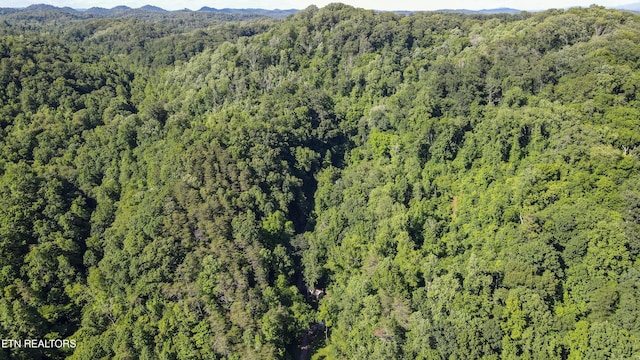 168 County Rd 484, Englewood, TN 37329