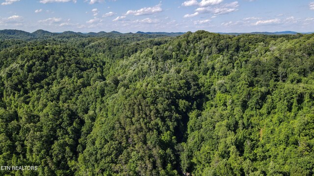 168 County Rd 484, Englewood, TN 37329