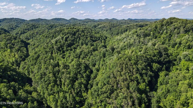 168 County Rd 484, Englewood, TN 37329