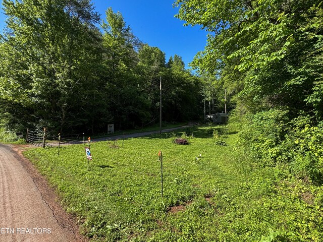 168 County Rd 484, Englewood, TN 37329