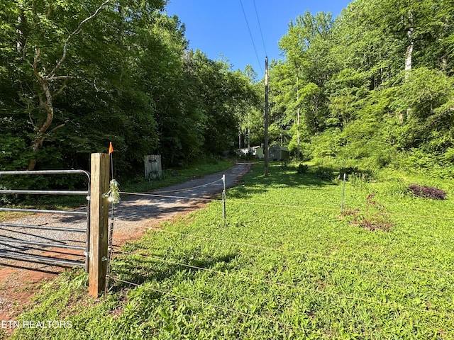 168 County Rd 484, Englewood, TN 37329