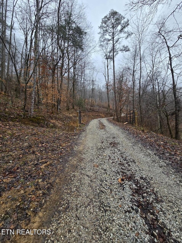 view of road