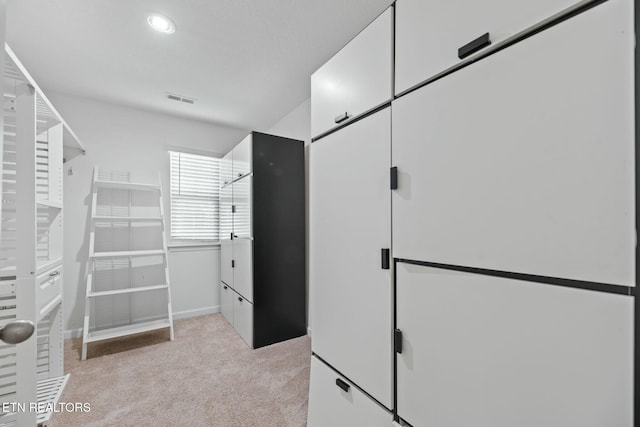 spacious closet with light carpet