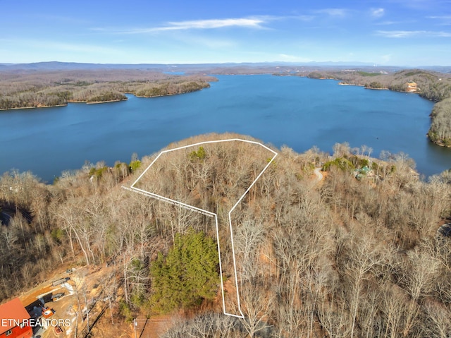 206 Black Hawk Dr, Ten Mile TN, 37880 land for sale