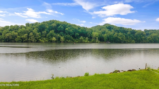 water view