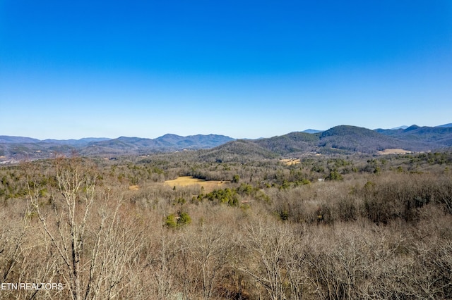 view of mountain feature