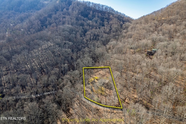 birds eye view of property featuring a mountain view