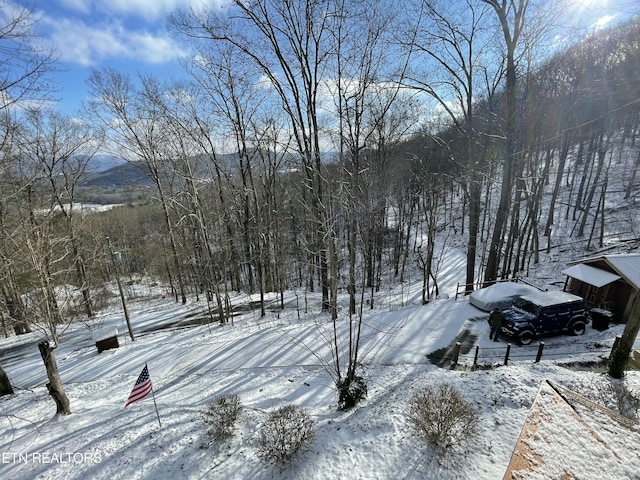 view of yard layered in snow