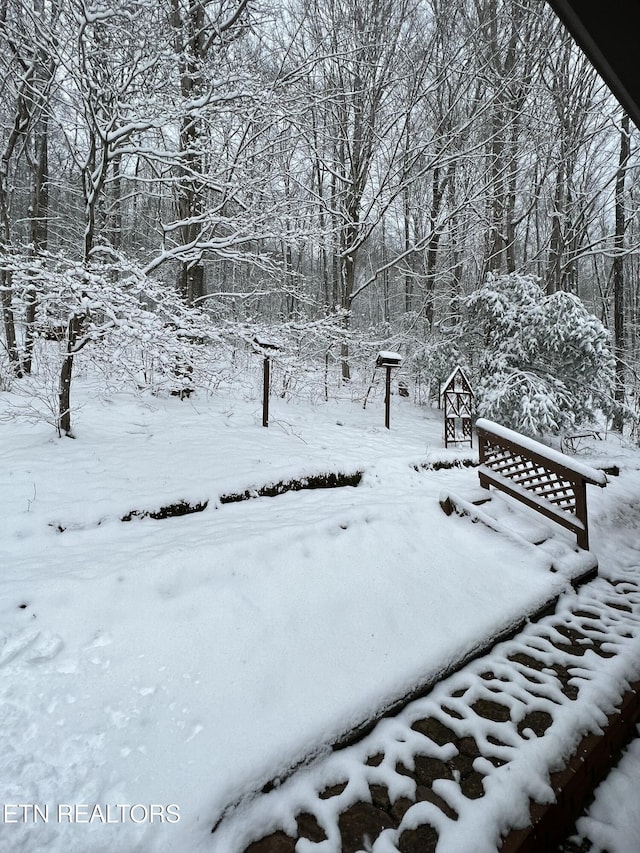 view of snowy yard