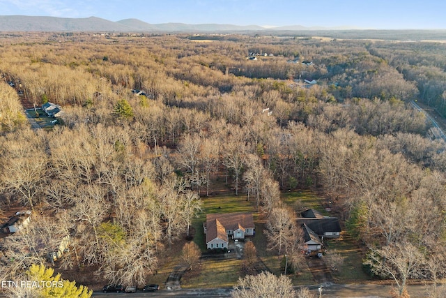 bird's eye view featuring a mountain view