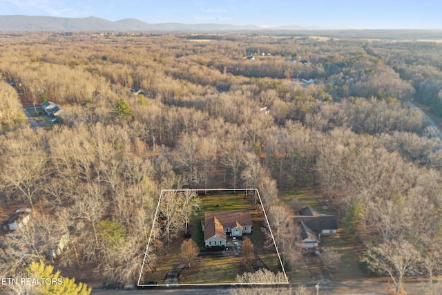 aerial view featuring a mountain view