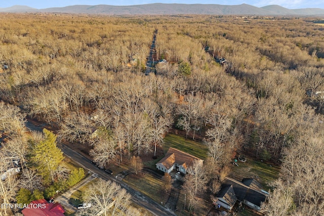 bird's eye view featuring a mountain view