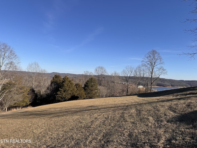 0 Wedgewood Ln, Lafollette TN, 37766 land for sale