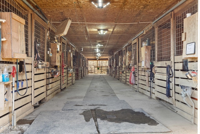 view of horse barn