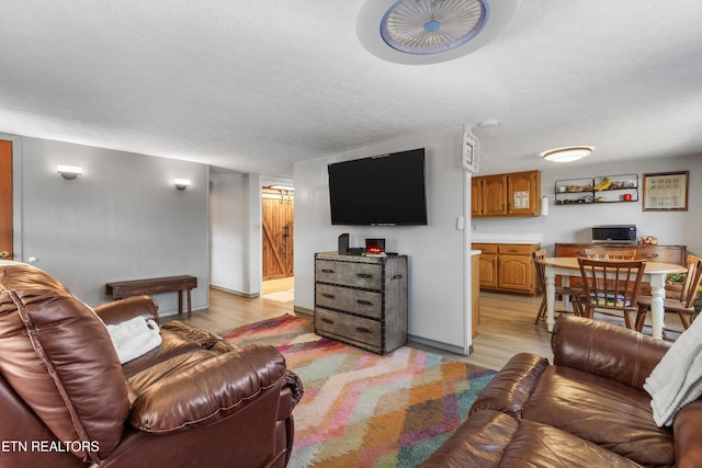 living room with light hardwood / wood-style floors and a textured ceiling