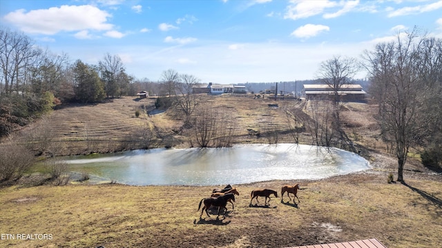 view of water feature with a rural view