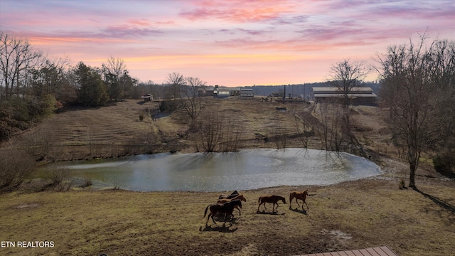 property view of water featuring a rural view