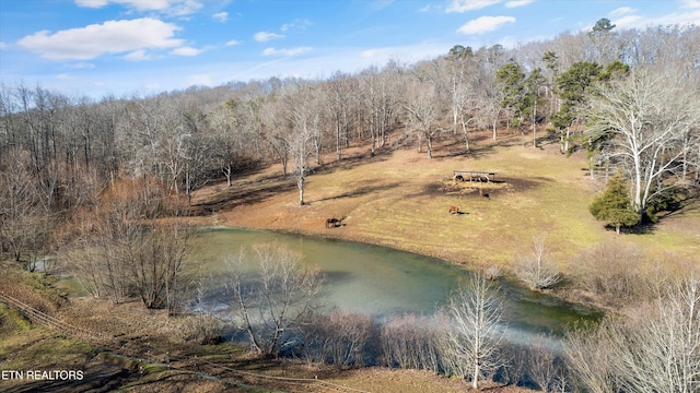 bird's eye view featuring a water view