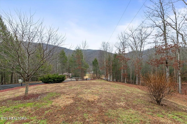 view of yard featuring a mountain view