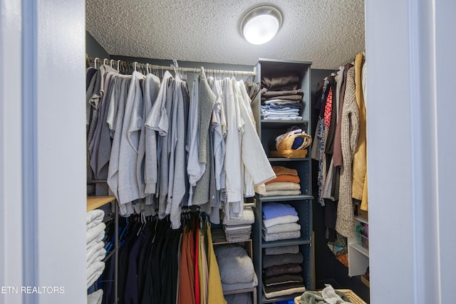 view of walk in closet