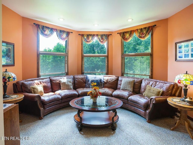 living room with a wealth of natural light and carpet floors