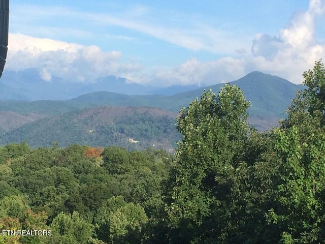 property view of mountains