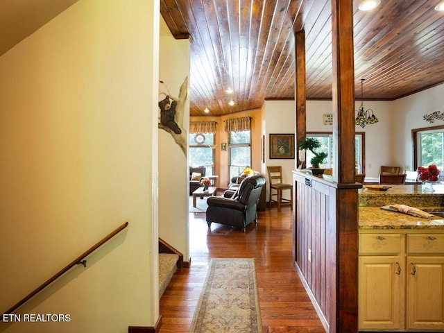 corridor featuring wooden ceiling and dark hardwood / wood-style flooring