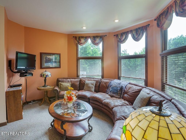 view of carpeted living room