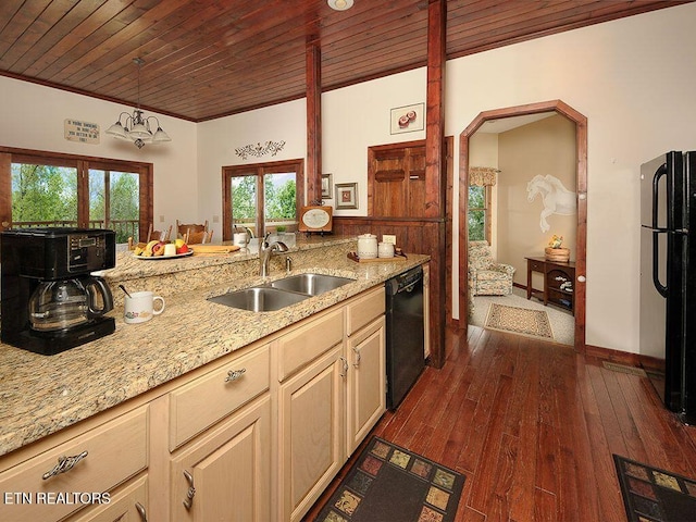 kitchen with a healthy amount of sunlight, sink, dark wood-type flooring, and black appliances