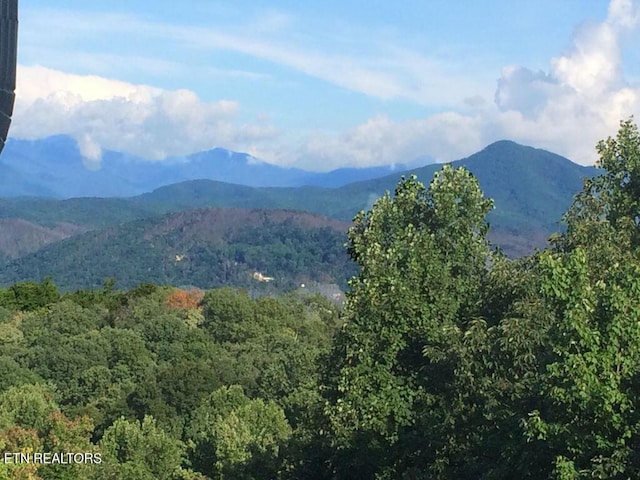 property view of mountains