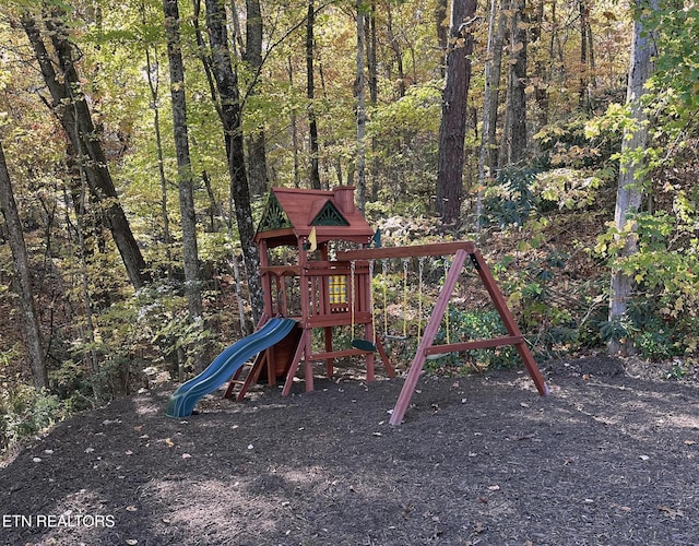 view of jungle gym