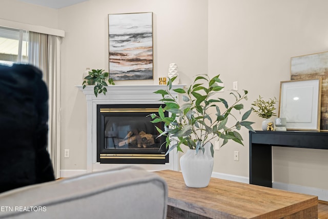 room details with hardwood / wood-style flooring