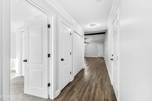 hall featuring ornamental molding and dark hardwood / wood-style flooring