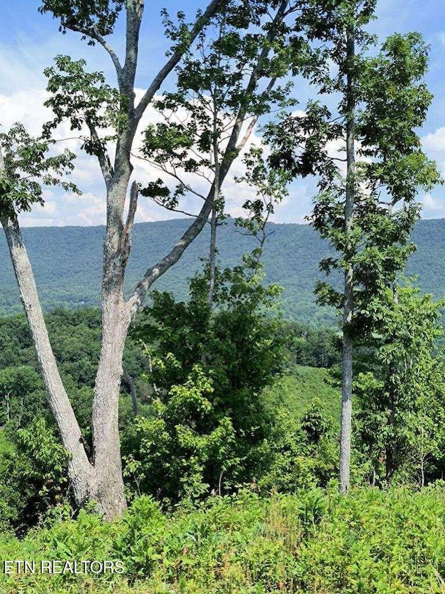 Ashe Cabin Hollow Rd, Harriman TN, 37748 land for sale