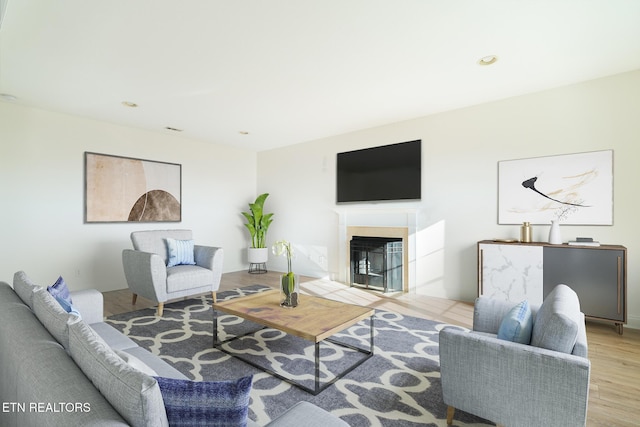 living room featuring light hardwood / wood-style flooring