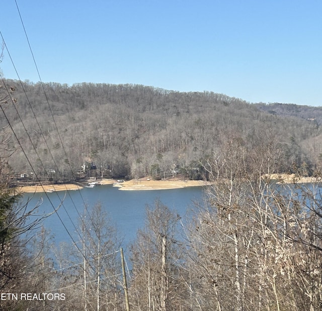 Eagle Cove Pkwy, Maynardville TN, 37807 land for sale