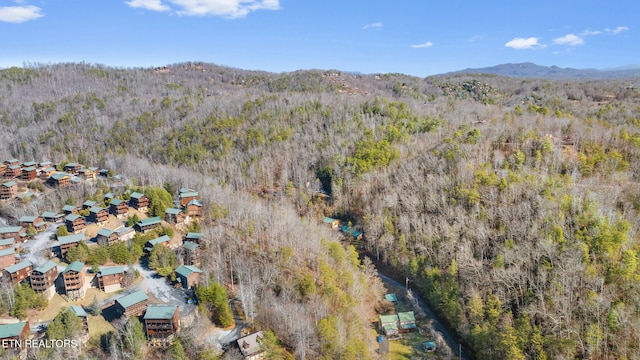 aerial view featuring a mountain view