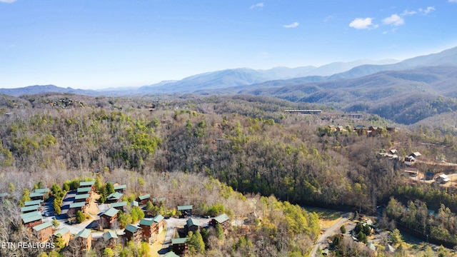 birds eye view of property featuring a mountain view