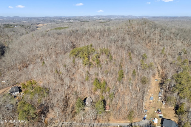 Listing photo 3 for 1582 Hawk Ln, Seymour TN 37865