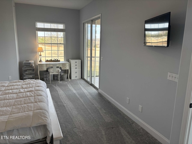 bedroom featuring carpet and access to exterior