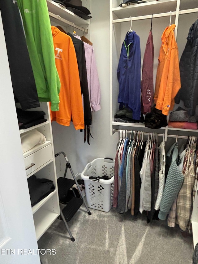 spacious closet with carpet flooring