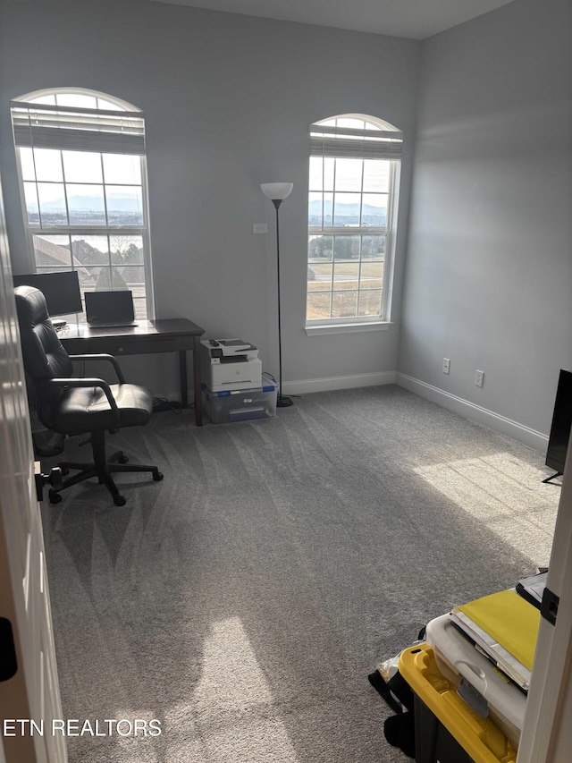 home office with carpet flooring