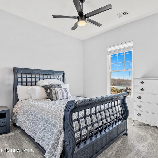 545 Rarity Bay Pkwy Apt 207, Vonore, TN 37885 - bedroom featuring carpet floors and a ceiling fan