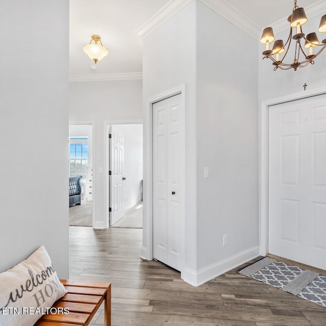 545 Rarity Bay Pkwy Apt 207, Vonore, TN 37885 - foyer with a chandelier, wood finished floors, ornamental molding, and baseboards