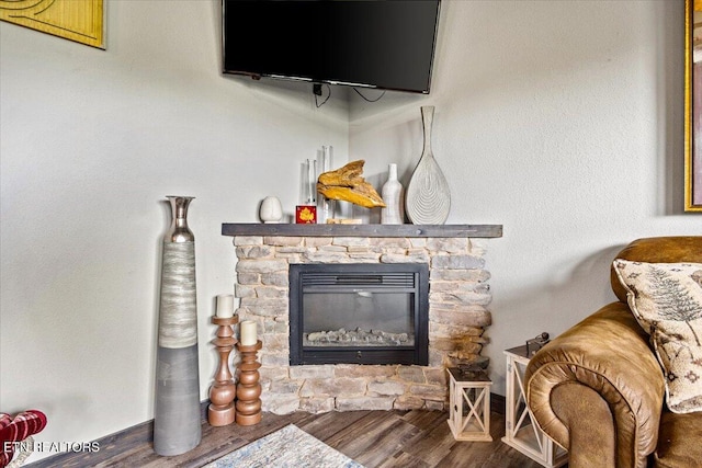 room details featuring hardwood / wood-style floors and a fireplace