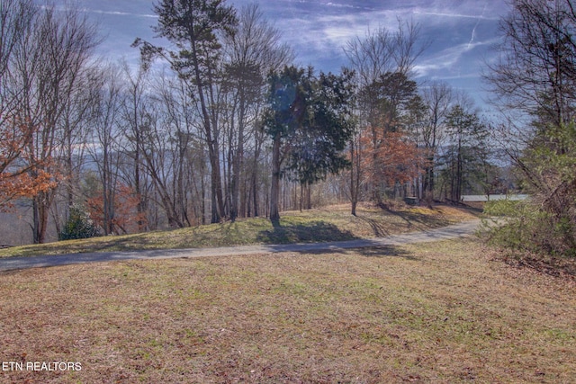 4565 Crooked Creek Way, Maryville TN, 37803 land for sale