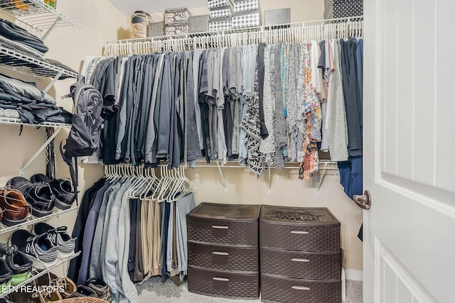 walk in closet featuring carpet flooring