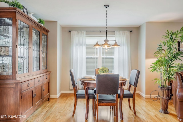 dining space with light hardwood / wood-style flooring